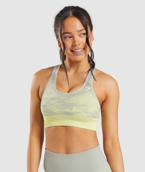 Women's Gymshark Adapt Ombre Seamless Sports Bra Grey | CA 756N80